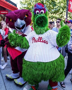 Image post by @templeowls on Instagram