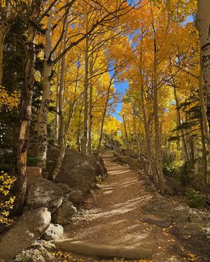 Image post by @9newsdenver on Instagram