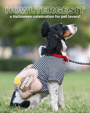 Image post by @mplsdtparks on Instagram