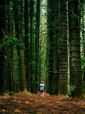 Image post by @tyler.corbo on Instagram
