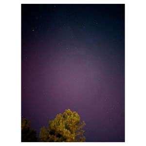 Image post by @hcfoxphotography on Instagram