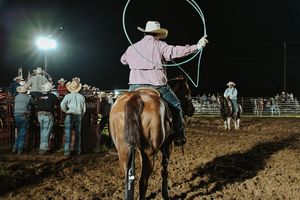 Image post by @sbg.photography_ on Instagram