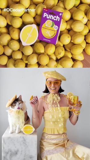 Video post by @champagneunicorns on TikTok