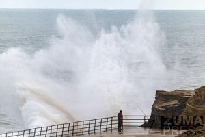 Image post by @zumapress on Instagram