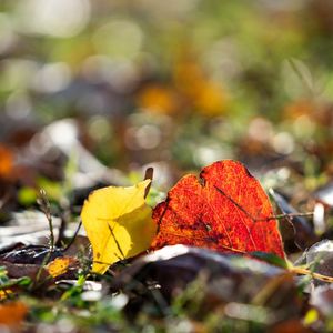 Image post by @txextension on Instagram