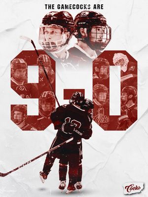 Image post by @cockhockey on Instagram