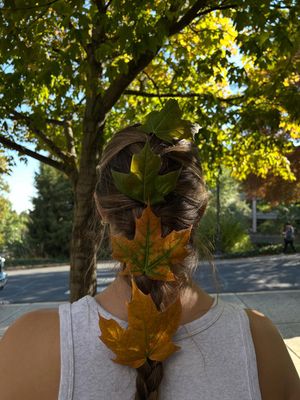 Image post by @wsupullman on Instagram