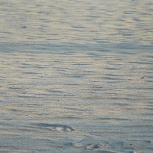 Image post by @theouterbanksnc on Instagram