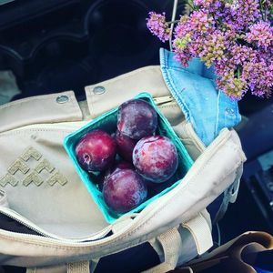 Image post by @hoveyandharrison on Instagram
