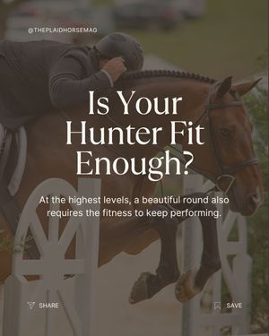 Image post by @theplaidhorsemag on Instagram