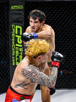 Image post by @lfafighting on Instagram