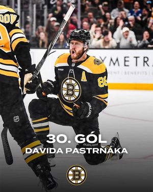 Image post by @nhlcesko on Instagram