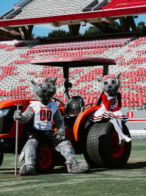 Image post by @packathletics on Instagram