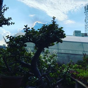 Image post by @friendlychro on Instagram