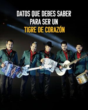 Image post by @lostigresdelnorte on Instagram