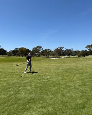 Image post by @taylormadeausnz on Instagram
