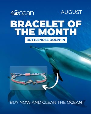 Image post by @4ocean on Instagram