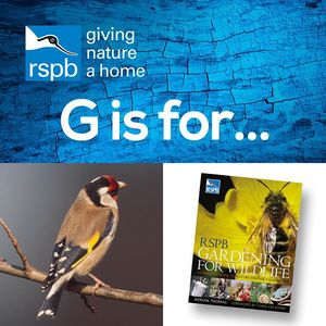 Image post by @rspb on Instagram