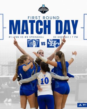 Image post by @lynnvolleyball on Instagram