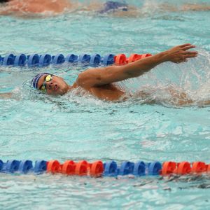 Image post by @gatorsswimdv on Instagram