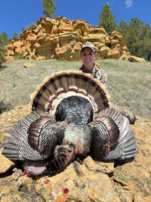 Image post by @truetimbercamo on Instagram