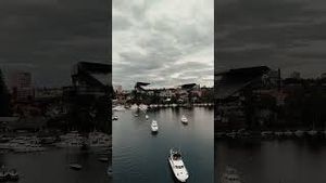 Video post by @uw_athletics on YouTube