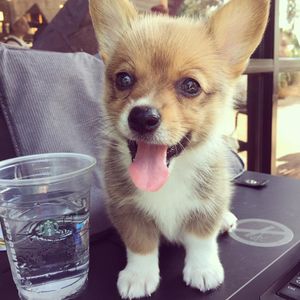 Image post by @aircorg on Instagram