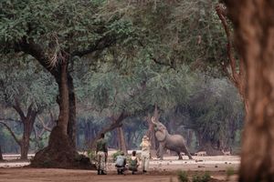 Image post by @chiawasafaris on Instagram