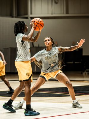 Image post by @uapblionswbb on Instagram