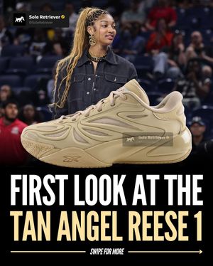 Image post by @soleretriever on Instagram
