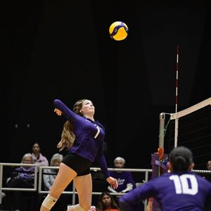Image post by @westernmustangs on Instagram