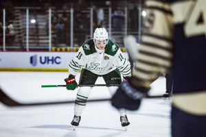 Image post by @IAWild on Twitter