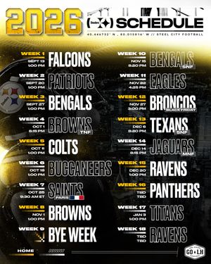 Image post by @steelers on Instagram