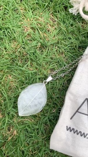 Video post by @leafyaffair on Instagram