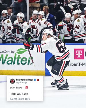 Image post by @rockfordicehogs on Instagram