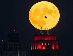 Image post by @thekansascitystar on Instagram