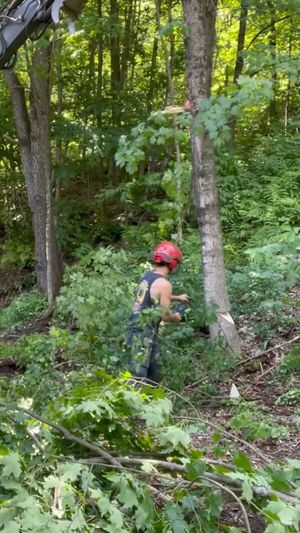 Video post by @greenworkscommercial on Facebook