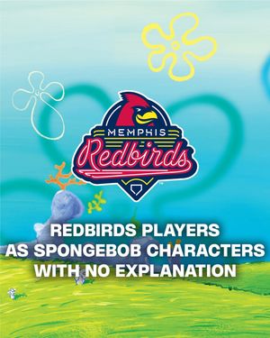 Image post by @memphisredbirds on Instagram