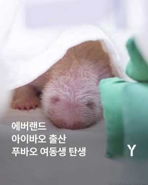Image post by @ymagazine_official on Instagram