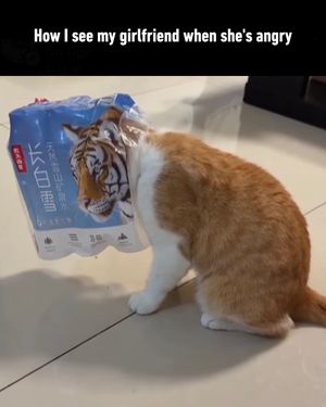 Image post by @9gag on Instagram