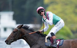 Image post by @juddmonte on Instagram