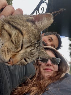 Image post by @ofamanasli on Instagram