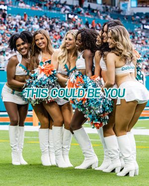 Image post by @dolphinscheer on Instagram
