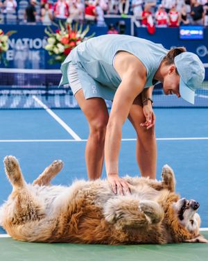 Image post by @wta on Instagram