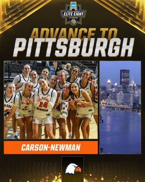 Image post by @NCAADII on Twitter