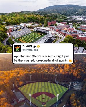 Video post by @draftkings on TikTok