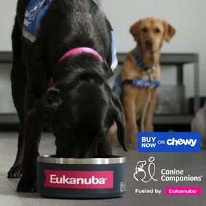 Image post by @canineorg on Instagram