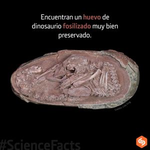 Image post by @prsciencetrust1 on Instagram