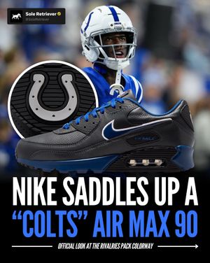 Image post by @soleretriever on Instagram