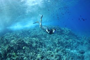 Image post by @putneystudenttravel on Facebook
